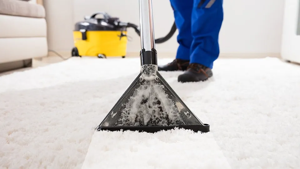 Common Carpet Stains and How to Remove Them Effectively