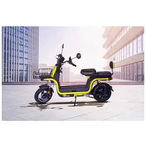 Okinawa Dual 100