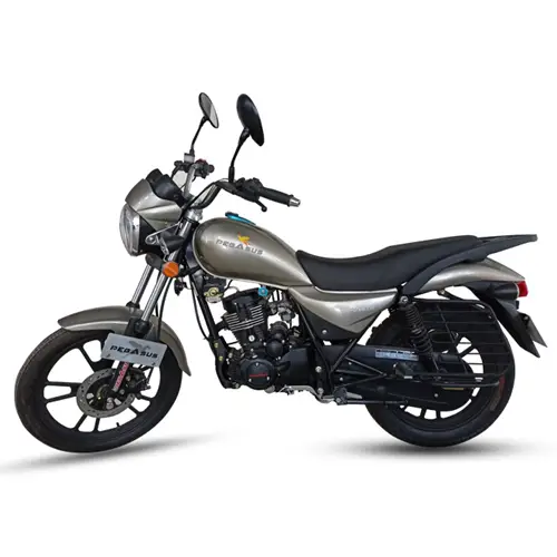 Pegasus Fabio 125Â 