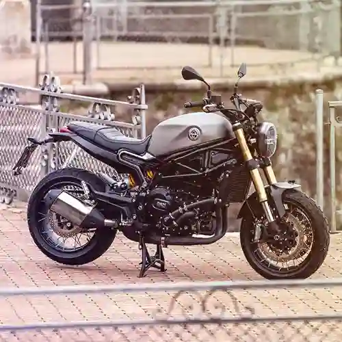 Benelli Leoncino 800