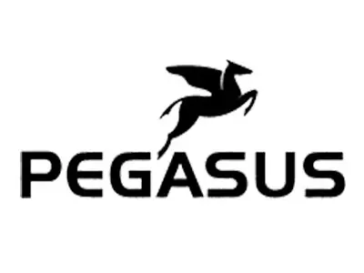 Pegasus